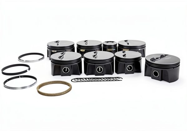Mahle Original Piston Assembly Kit for Automotive-0