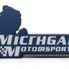 Michigan Motorsports 6.0L Stock Pistons for GM Trucks-5