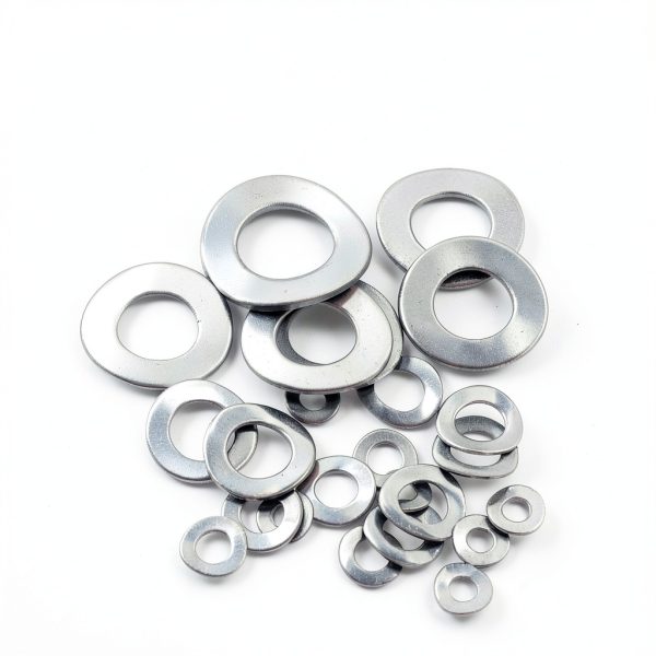 Metric M3-M12 304 Stainless Steel Wave Spring Washer Kit by HVAZI-4